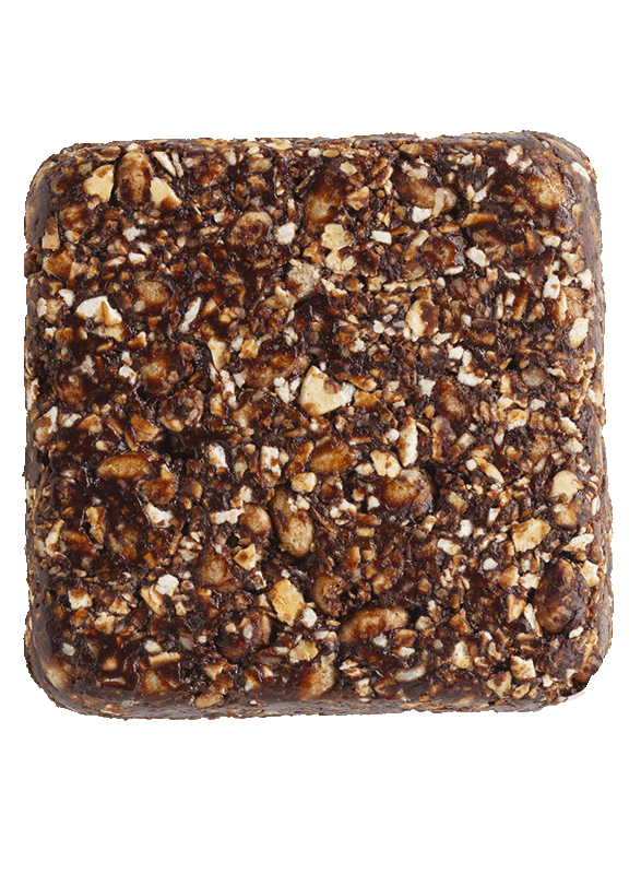 Brownie Bear (4 bars)