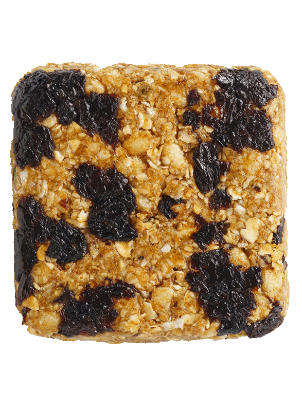 Oat Raisin Racoon (4 bars)